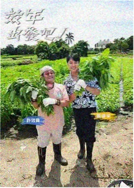 闯关综艺